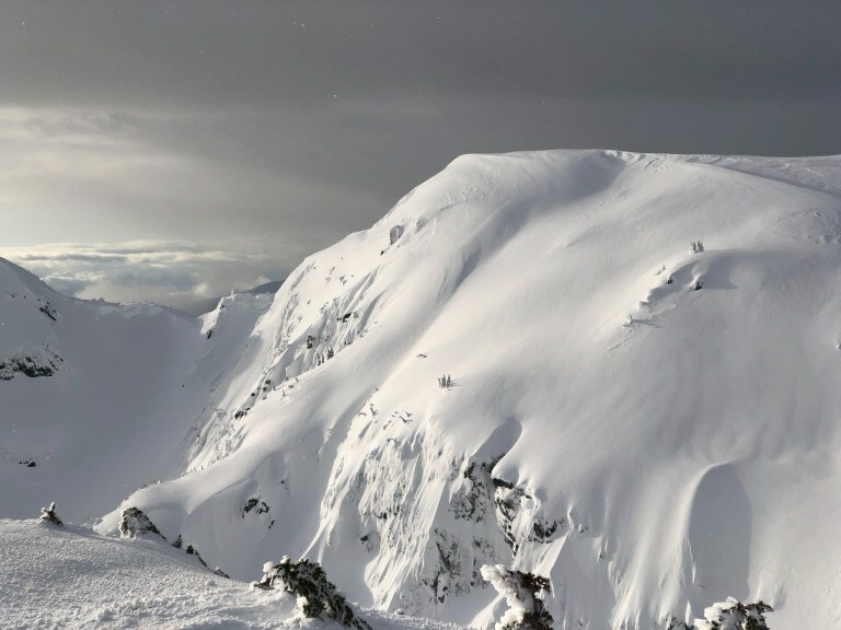 Local Freshies: Get To The Choppa!