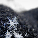 The unique term for this snowflake is dendrite.